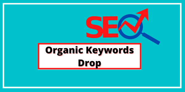 Organic Keywords Drop