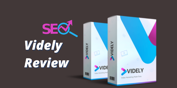 videly seo Review